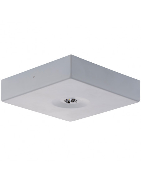 Noodverlichting Optic ovale lens, voor gangen