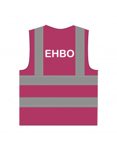 EHBO hesje RWS lichtpaars