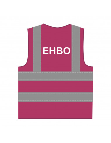 EHBO hesje RWS lichtpaars