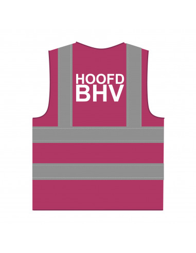 Hoofd BHV hesje RWS lichtpaars