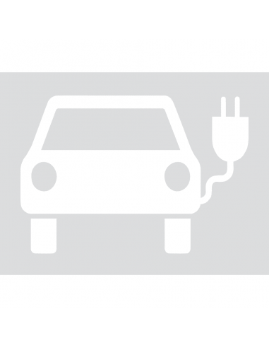 Thermoplastische markering elektrische voertuigen, 500 x 1000 mm