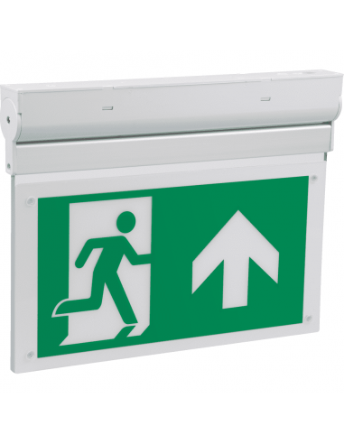 Nooduitgang naar bverlichting L-lux Eco, met pictoset, rechtdoor