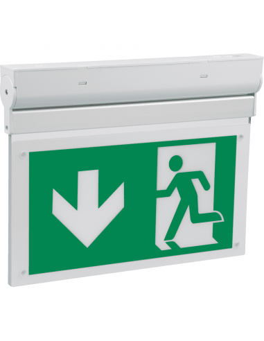 Nooduitgang verlichting L-lux Eco, met pictoset, naar beneden