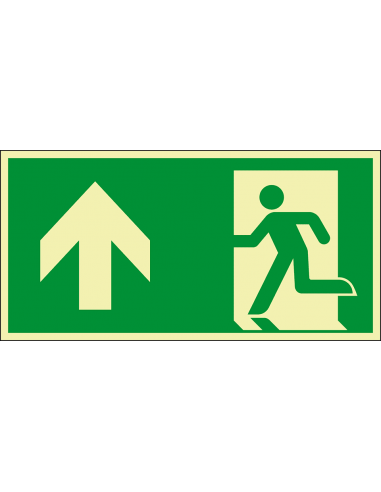Extra lichtgevend nooduitgang bord pijl boven - aluminium - E001, groen wit, rechthoekig