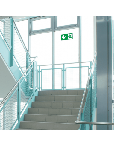 Nooduitgang bord pijl beneden, aluminium, E001, groen wit, symbool nooduitgang, rechthoekig, ISO 7010