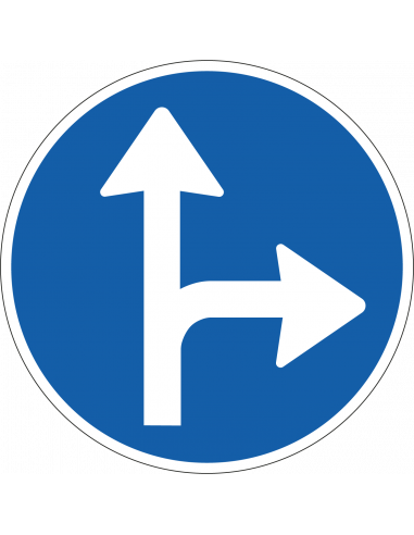 Verplichte rijrichting bord, kunststof, D6, blauw wit, rond, met pijlen