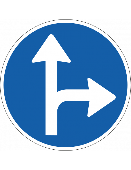 Verplichte rijrichting bord, kunststof, D6, blauw wit, rond, met pijlen