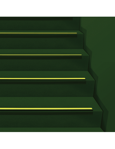 Permalight elektrische trapneusprofiel, zwart?