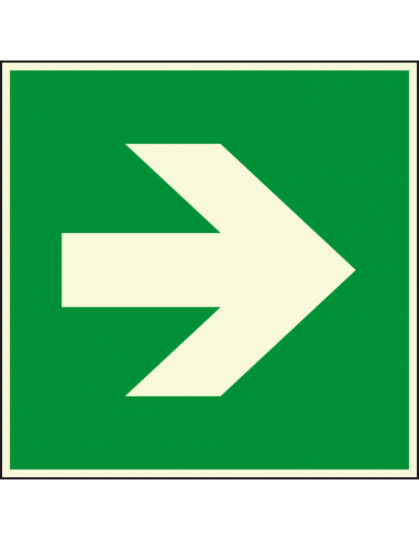 Extra lichtgevend nooduitgang bord richtingspijl - kunststof, groen wit, vierkant, symbool pijl