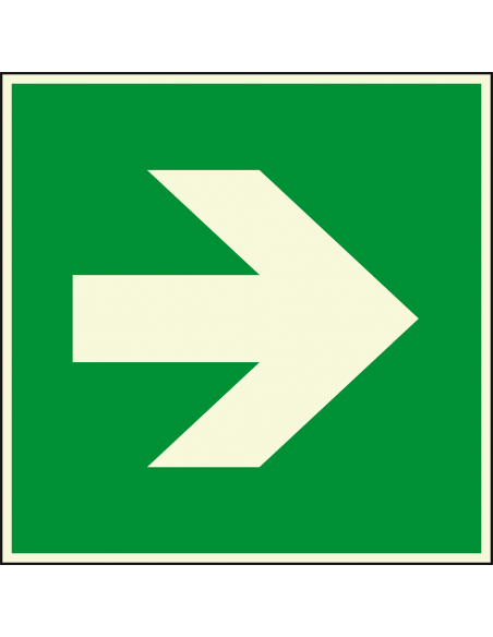 Extra lichtgevend nooduitgang bord richtingspijl - kunststof, groen wit, vierkant, symbool pijl