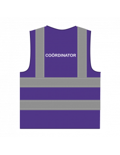 Coördinator hesje RWS paars