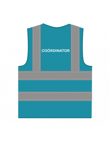 Coördinator hesje RWS lichtblauw