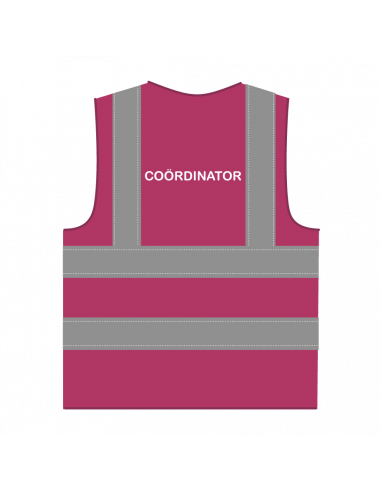 Coördinator hesje RWS lichtpaars