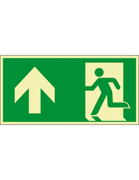 Extra lichtgevend nooduitgang bord pijl boven - kunststof - E001, groen wit, rechthoekig
