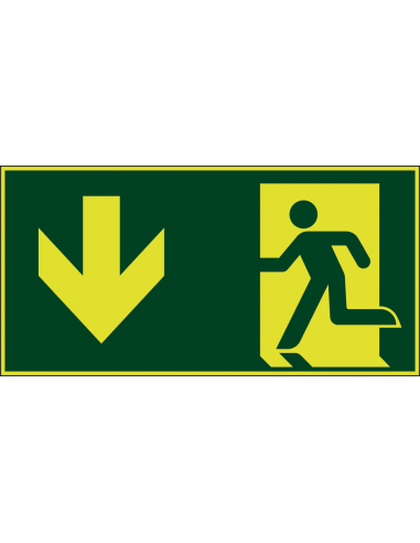 Extra lichtgevend nooduitgang bord pijl beneden, groen wit, rechthoekig, symbool nooduitgang met pijl
