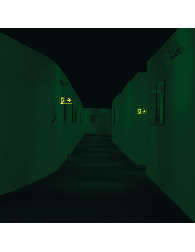 Extra lichtgevend haaks nooduitgang bord - dubbelzijdig - kunststof, groen wit, rechthoekig, ISO 7010