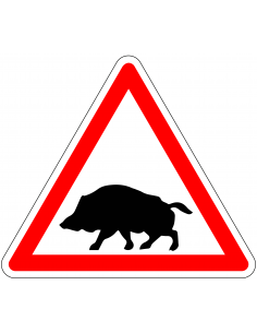 Pas op everzwijnen bord, rood wit, driehoekig, symbool everzwijn met rode rand
