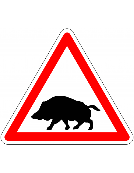 Pas op everzwijnen bord, rood wit, driehoekig, symbool everzwijn met rode rand