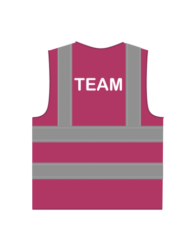 Team hesje RWS lichtpaars, met horizontale en verticale reflecterende strepen