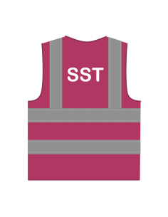 SST hesje RWS lichtpaars, met horizontale en verticale reflecterende strepen