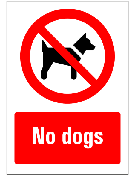 No dogs bord, rood wit, rechthoekig, symbool geen honden en Engelse tekst no dogs
