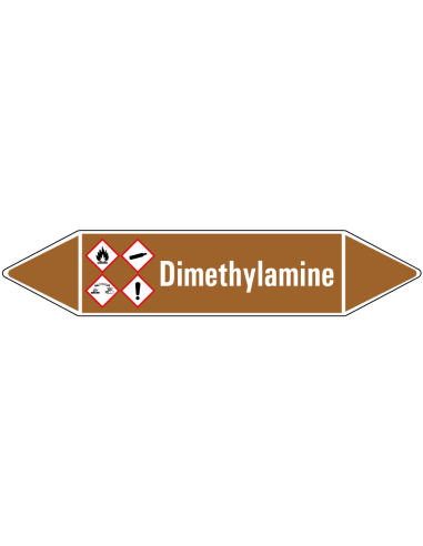 Dimethylamine leidingmarkering op vel, bruin wit, Nederlandse tekst dimethylamine, GHS02, GHS04, GHS05 en GHS07 pictogram