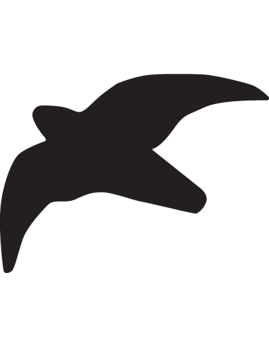 Raamsticker vogel - zwart - 300 mm