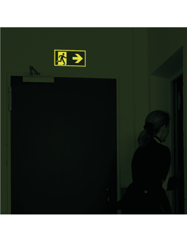 Extra lichtgevend nooduitgang bord pijl rechts - kunststof - E002, groen wit, rechthoekig