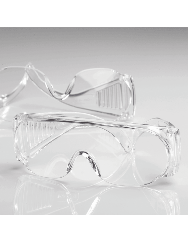 ESV WORK C4 Visi overzetbril, transparant, polycarbonaat