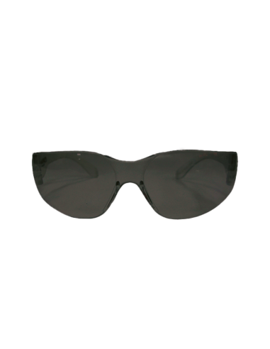 PSP 28-005 basic veiligheidsbril - 12 stuks, smoke lens