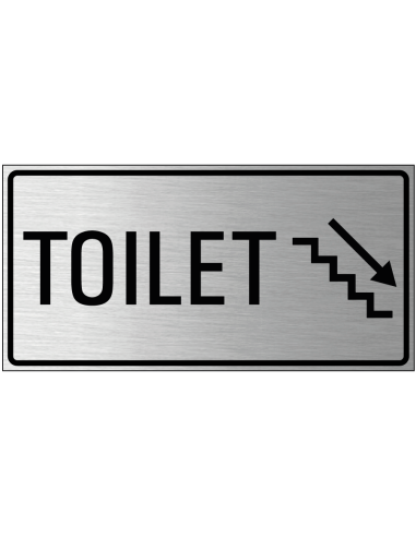 Toilet trap omlaag bord rechts, geborsteld aluminium, trap met pijl, rechthoek, Nederlandse tekst