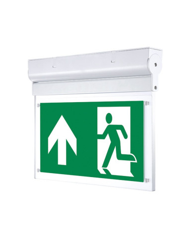 Normlights Surface LED 2 Watt Emergency Fixture Maintained 1