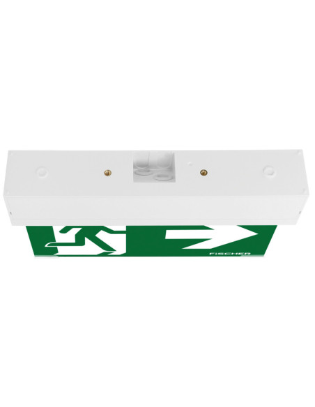 Fischer LED-vluchtwegverlichting type S1, met AUTOTEST-functie kopen? Bestel nu!