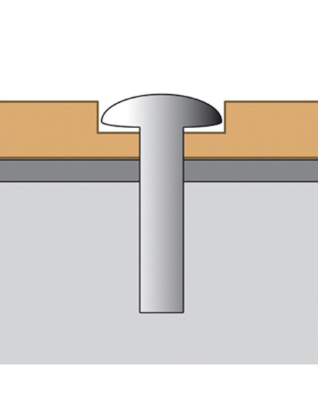 Torx-schroeven met pin, 6,5 x 45 mm, voor verkeersspiegels kopen?