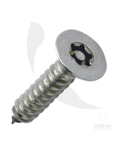 Torx-schroeven met pin, 6,5 x 45 mm, voor verkeersspiegels kopen?