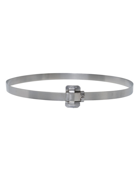 RVS staalband MORION 12 mm, 30 m in afrolbox kopen?