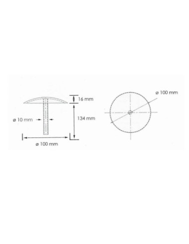 RVS markeringsnagel Ø100 mm kopen? Bestel nu!