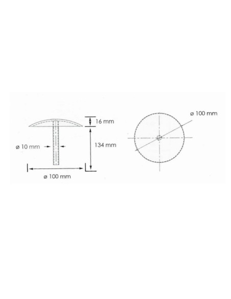 RVS markeringsnagel Ø100 mm kopen? Bestel nu!