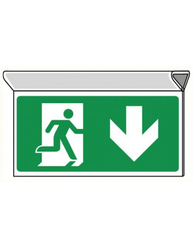 Nooduitgang bord beneden dubbelzijdig plafondbevestiging 300 x 150 mm, E001